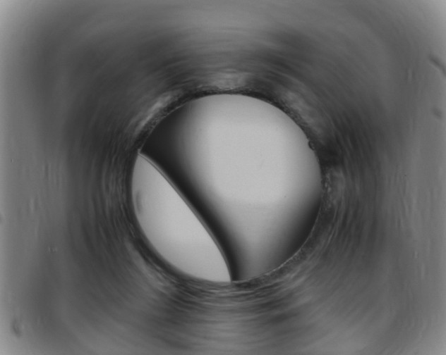 X0000097880212200803140950