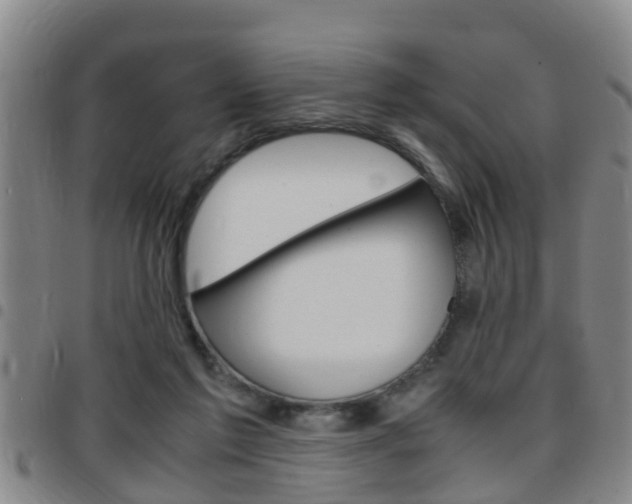 X0000097880213200803140950