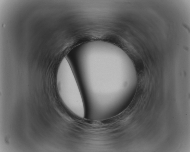 X0000097880215200803140949