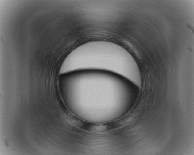 X0000097880217200803140949