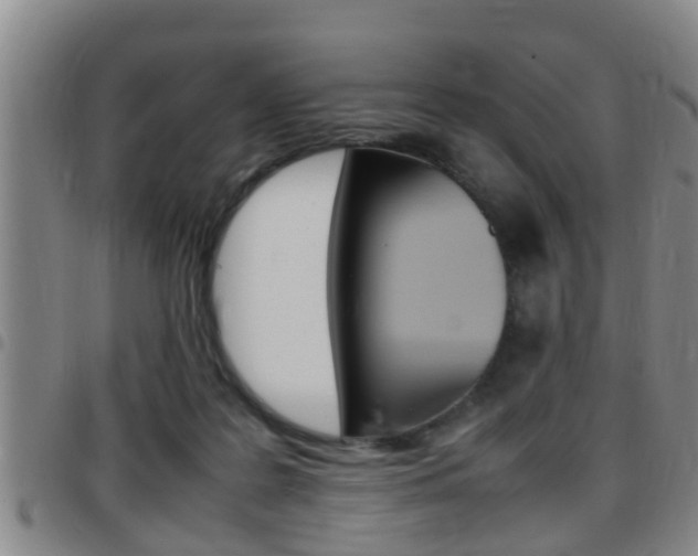 X0000097880219200803140949