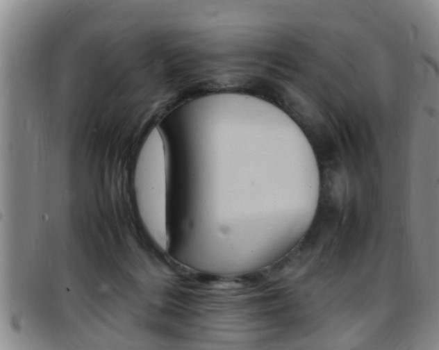 X0000097880220200803140949