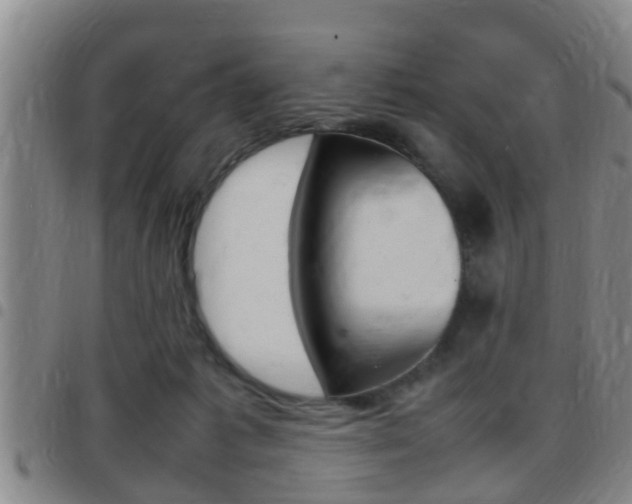X0000097880221200803140949