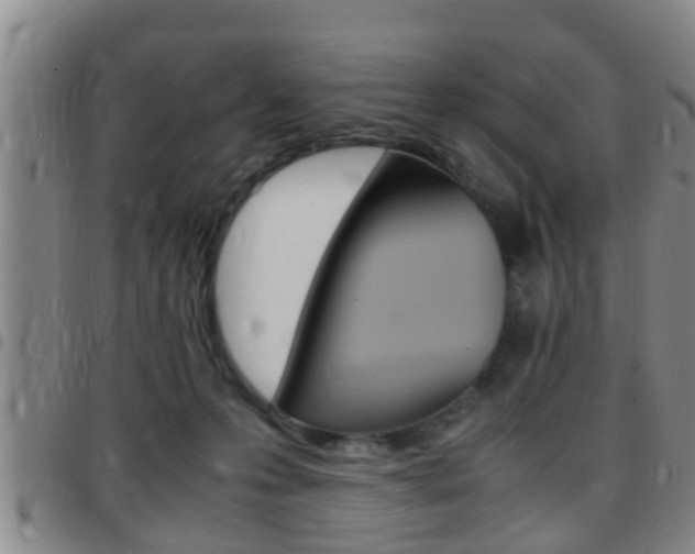 X0000097880223200803140949