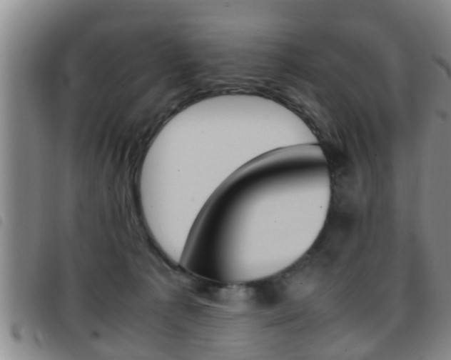 X0000097880225200803140949