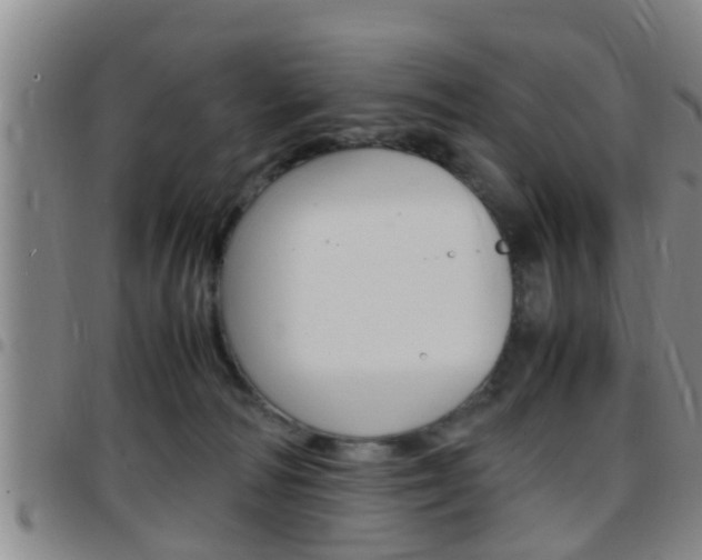 X0000097880226200803140949