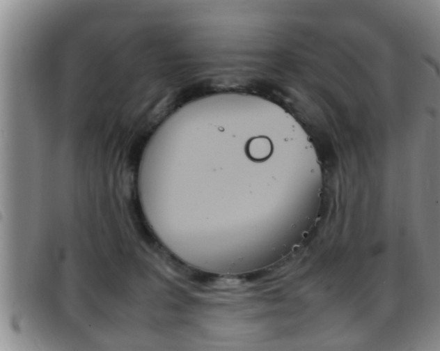 X0000097880227200803140949
