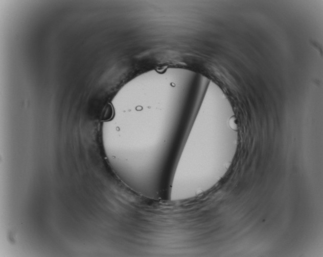 X0000097880229200803140949