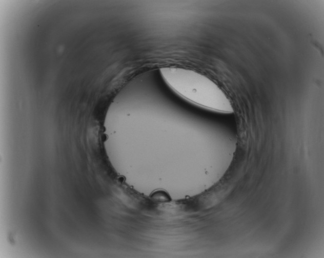 X0000097880231200803140949