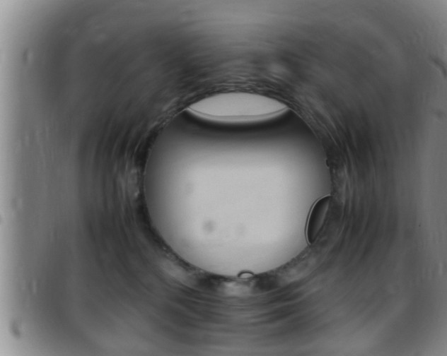 X0000097880232200803140949
