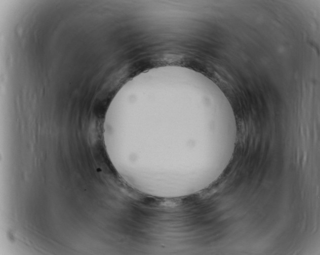X0000097880236200803140949