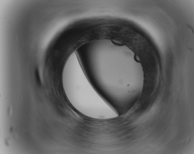X0000097880239200803140949