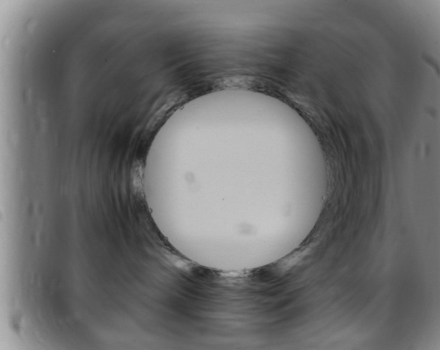 X0000097880240200803140949