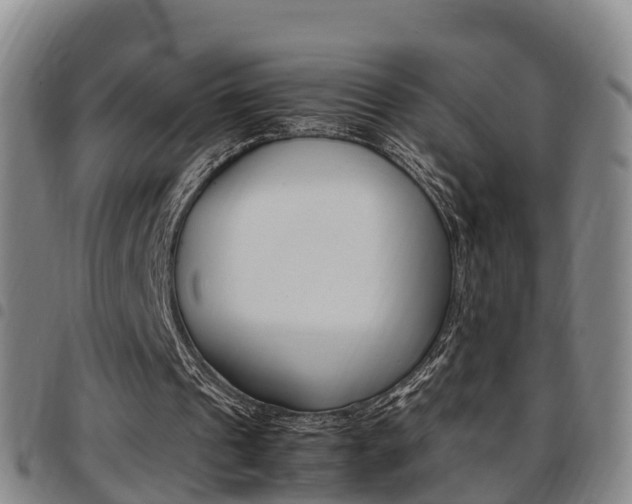 X0000097880241200803140949