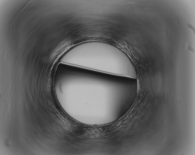 X0000097880243200803140949