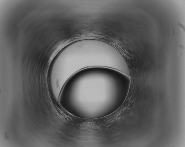 X0000097880244200803140949