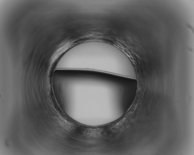 X0000097880245200803140949