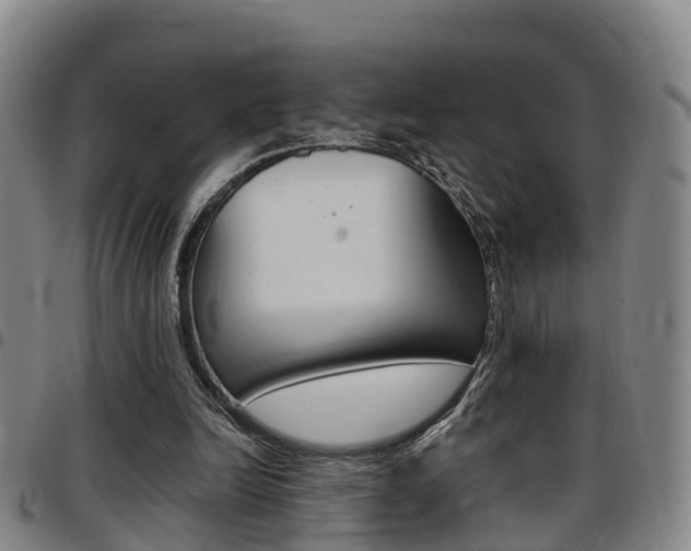 X0000097880246200803140949