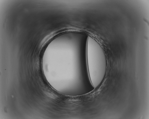 X0000097880247200803140949