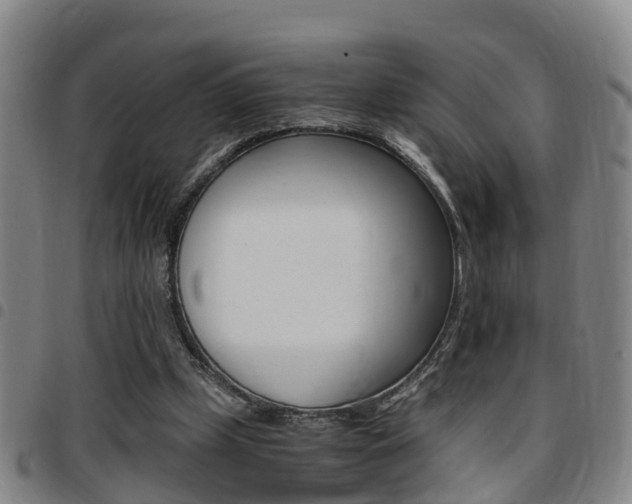 X0000097880249200803140949