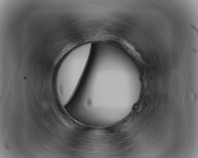 X0000097880250200803140949