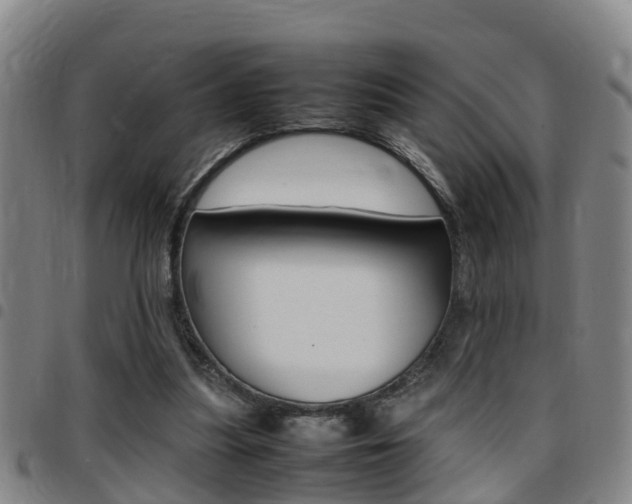 X0000097880251200803140949