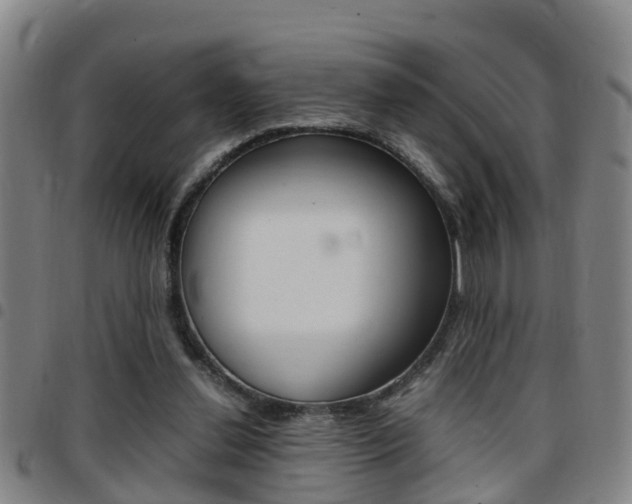 X0000097880252200803140949