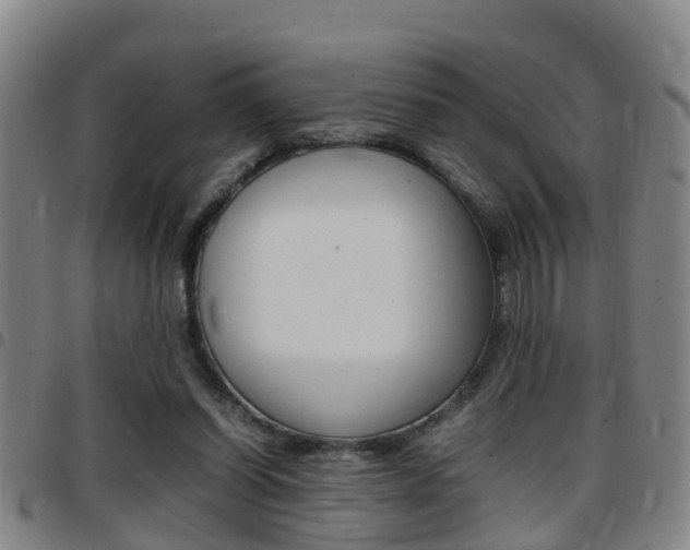 X0000097880254200803140949