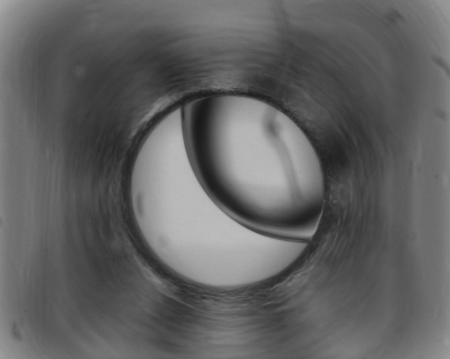 X0000097880256200803140949
