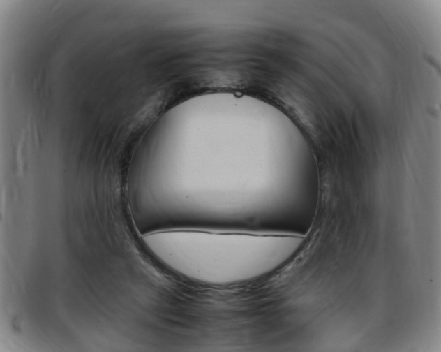 X0000097880257200803140949