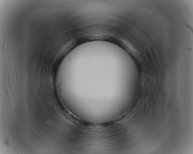 X0000097880258200803140949