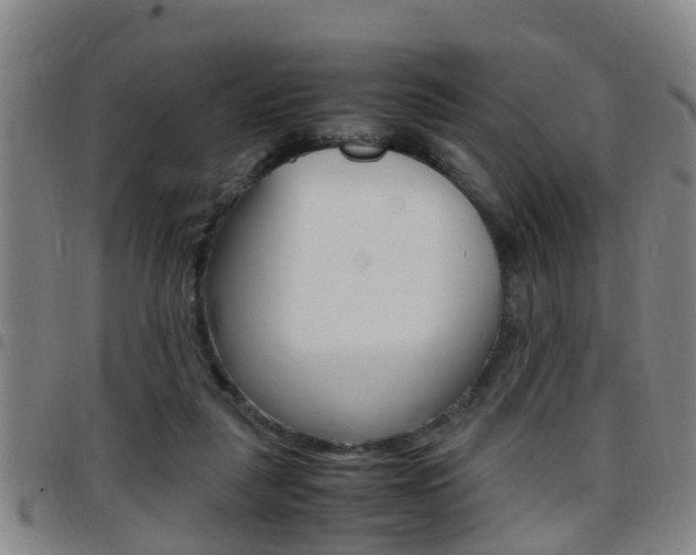 X0000097880259200803140949