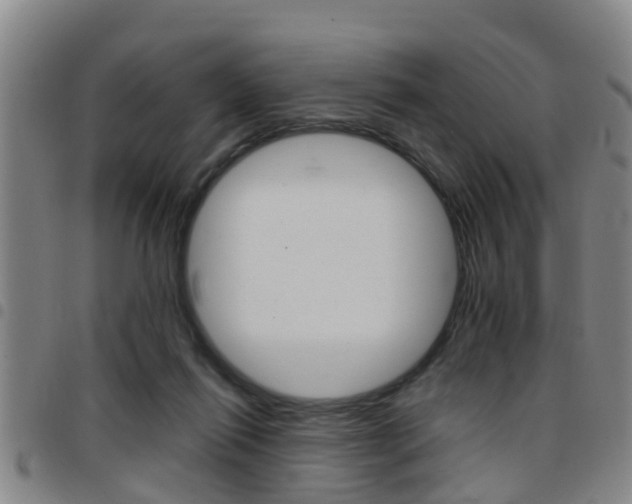 X0000097880262200803140949