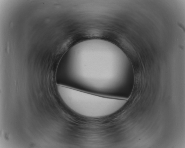 X0000097880264200803140949