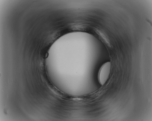 X0000097880265200803140949