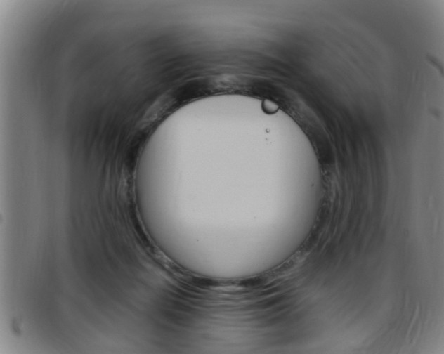 X0000097880266200803140949