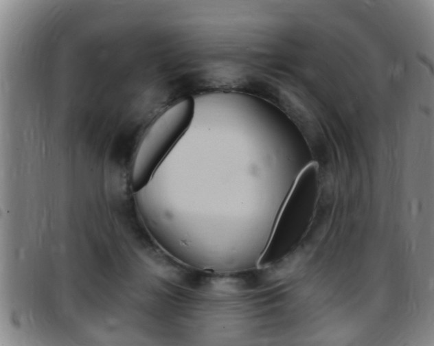 X0000097880268200803140949