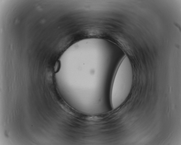 X0000097880269200803140949