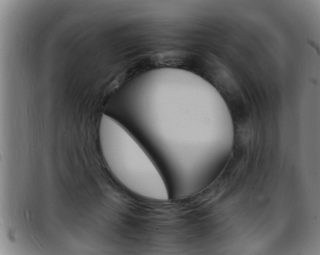 X0000097880271200803140949