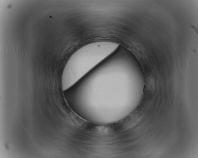 X0000097880272200803140949