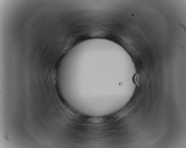 X0000097880273200803140949