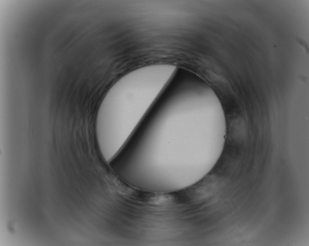 X0000097880274200803140949