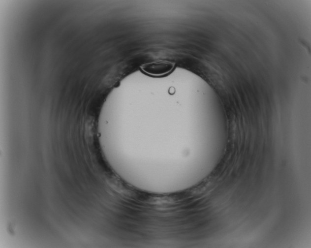 X0000097880275200803140949