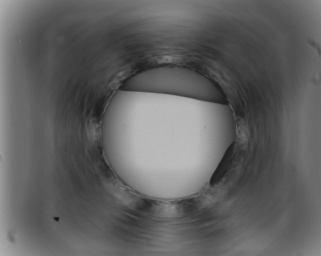 X0000097880276200803140949