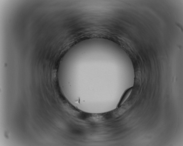 X0000097880278200803140949