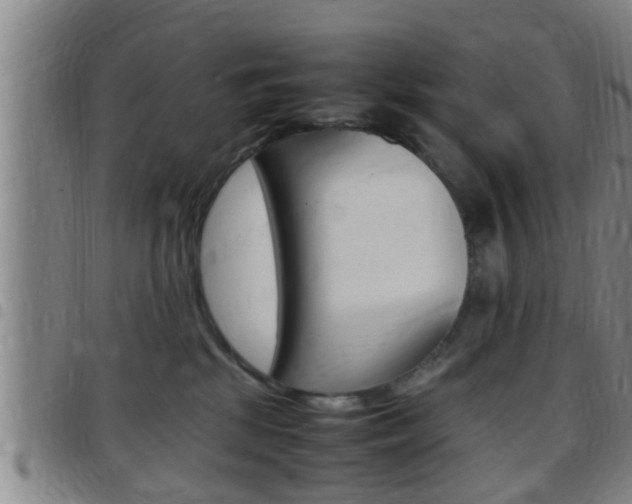 X0000097880281200803140949