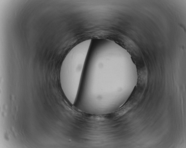 X0000097880284200803140949