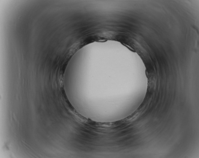 X0000097880285200803140949
