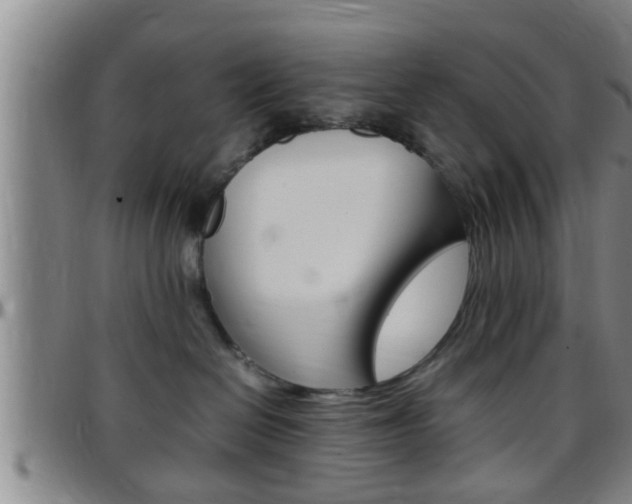 X0000097880286200803140949