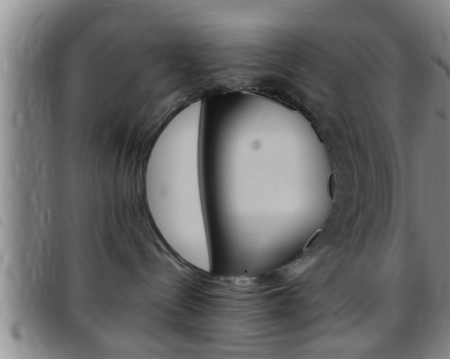 X0000097880288200803140949